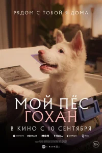 Мой пёс Гохан 
